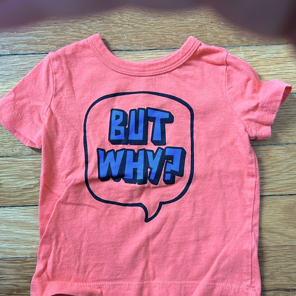 NWOT Osh Kosh t-shirt, size 6M
